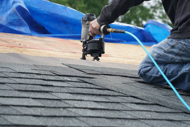 Best Roof Leak Repair  in Belle Plaine, KS