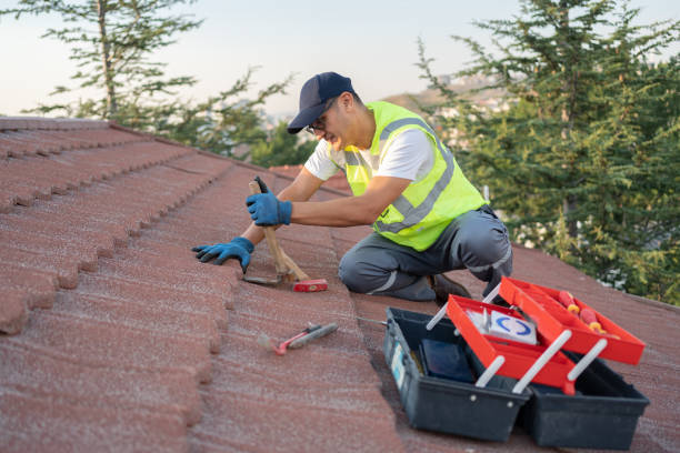 Best New Roof Installation  in Belle Plaine, KS