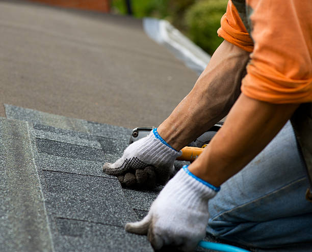 Best Metal Roofing Contractor  in Belle Plaine, KS