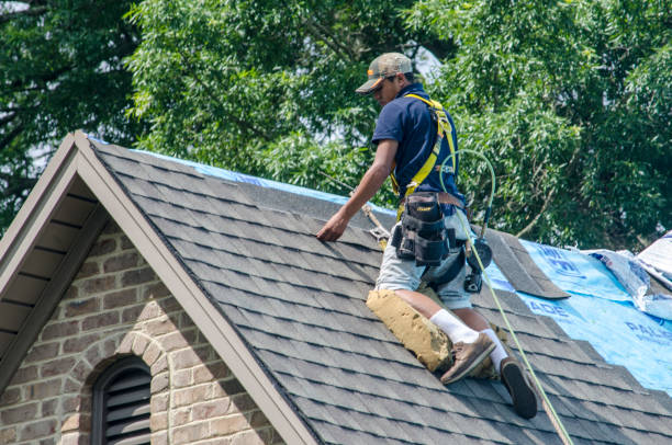 Professional Roofing Contractor in Belle Plaine, KS